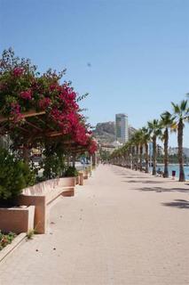Explanada Hotel Αλικάντε Εξωτερικό φωτογραφία